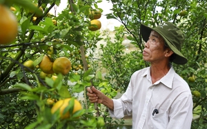 Tổng Bí thư Tô Lâm: Đồng Tháp cần huy động mọi nguồn lực phát triển nền nông nghiệp công nghệ cao- Ảnh 5.