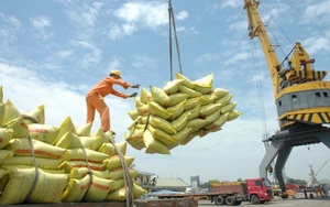 Indonesia tuyên bố không nhập khẩu gạo trong năm tới, thị trường gạo sẽ ra sao? - Ảnh 6.