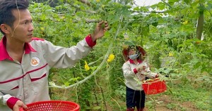 Đề án khuyến nông cộng đồng: Chắp cánh ước mơ làm giàu cho người nông dân - Ảnh 5.