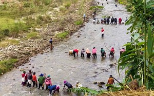 Làm bò một nắng kiểu gì mà đạt sao OCOP, anh nông dân Bình Thuận bán đặc sản đắt hàng? - Ảnh 8.