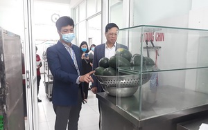 Công ty cổ phần Tabiphar Việt Nam bị xử phạt về nơi chế biến, kinh doanh động vật gây hại xâm nhập