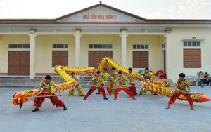 Các lân sư Việt Nam tranh tài cùng cao thủ Thái Lan, Malaysia và Singapore - Ảnh 5.