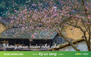 Những mùa xuân nho nhỏ