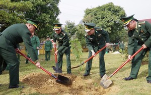 BĐBP tỉnh Lai Châu với phong trào Tết trồng cây 