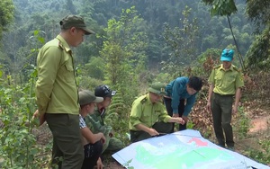 Kiểm Lâm Sơn La: Chủ động PCCCR trong mùa nắng nóng