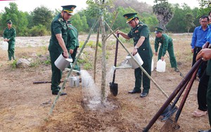 Bộ đội Biên phòng tỉnh An Giang phối hợp với địa phương trồng 100.000 cây xanh đầu Xuân Giáp Thìn 2024