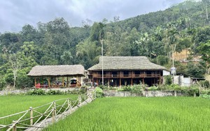 Nông thôn mới Lào Cai: Lan toả Homestay xinh, cổng đẹp, hàng rào cây xanh