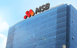 Vợ Phó Tổng MSB bán ra gần hết cổ phiếu trong bối cảnh thị giá tăng kịch trần
