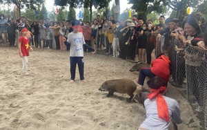 Trẻ em thích thú với trò chơi bịt mắt bắt lợn tại lễ hội ở quận Hà Đông