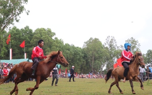 Người dân chen chúc, leo lên cây để xem lễ hội đua ngựa tại Phú Yên