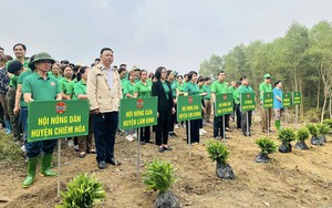 Hội Nông dân tỉnh Tuyên Quang phát động Tết trồng cây 