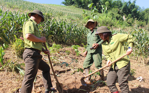 Kiểm lâm Sơn La: Làm tốt công tác bảo vệ và phát triển rừng