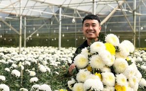 Tại sao nói, chuyển đổi số trong trồng hoa là tương lai của ngành hoa, xuất khẩu hoa tốt hơn ở Lâm Đồng?