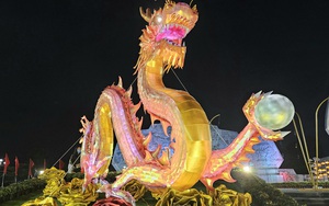 Dân ở Quảng Bình kéo nhau đi xem linh vật rồng uy nghi, đèn chụp ảnh nháy liên tục