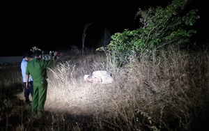 Xác định nghi phạm vụ thi thể người nước ngoài quấn trong chăn ở Bình Thuận