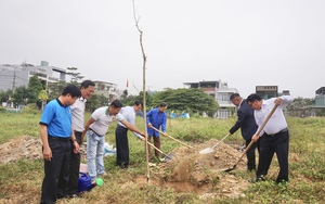 Hội Nông dân thành phố Đà Nẵng phát động “Tết trồng cây đời đời nhớ ơn Bác Hồ” Xuân Giáp Thìn 2024