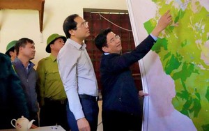 Chủ tịch tỉnh Lào Cai xuống hiện trường, chỉ đạo công tác chữa cháy rừng tại Vườn Quốc gia Hoàng Liên