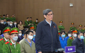 Cựu Bộ trưởng Nguyễn Thanh Long kháng cáo, mẹ và vợ của Phan Quốc Việt xin hủy kê biên 432 tỷ đồng