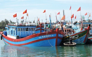 Bộ NNPTNT đề nghị xác minh, kiểm tra 4.375 tàu cá mất kết nối qua giám sát hành trình 
