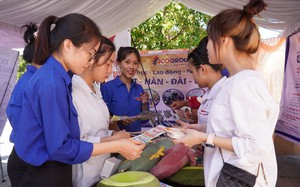 Xuất khẩu lao động ở Quảng Trị tăng cao