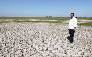 Nước sông Mekong đổ về ĐBSCL thiếu hụt 10-15% gây hạn mặn sớm, Cục Thủy lợi dự báo gì? 