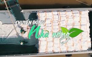 Chuyển động Nhà nông 24/2: Giá gạo xuất khẩu Việt Nam đột ngột giảm mạnh, mất vị trí cao nhất thế giới