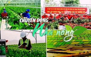 Chuyển động Nhà nông 23/2: Đề xuất Tổng điều tra nông thôn, nông nghiệp cả nước vào ngày 1/7/2025