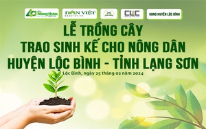 Người dân tỉnh Lạng Sơn háo hức mong chờ ngày được nhận cây giống mắc ca