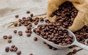 Giá cà phê ngày 26/2: Giá cà phê thế giới vẫn giảm, trong nước tăng trở lại