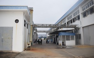 Công an Quảng Ninh thông tin về vụ tai nạn lao động khiến gần 60 công nhân nhập viện