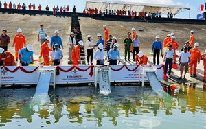 Một doanh nghiệp của tỉnh Quảng Nam thả 750.000 con cá giống xuống lòng hồ thủy điện Sông Tranh 