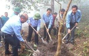 Hội Nông dân Lai Châu tổ chức trồng cây xanh, cải tạo cảnh quan môi trường ở bản Can Tỷ 2 xa xôi