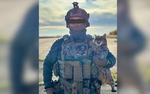 Lực lượng đặc biệt Ukraine buộc phải che mặt con mèo 'cực kỳ mật'