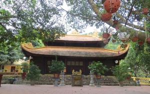 Ở một đảo lớn nổi tiếng của Quảng Ninh có ngôi đền thiêng thờ cháu nội Trần Thủ Độ, ông là ai?