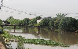 Huyện Thanh Hà ở Hải Dương, đồng rau tan hoang, cây ăn quả rụng la liệt, nông dân đến khổ! - Ảnh 8.