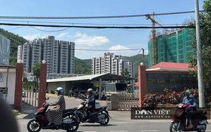 Bị một doanh nghiệp khởi kiện ra toà, UBND tỉnh Bình Định phản hồi thế nào?