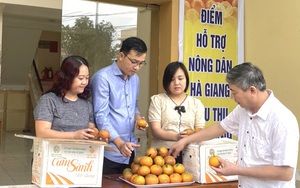 Hội Nông dân Quảng Bình hỗ trợ tiêu thụ 22 tấn cam sành cho nông dân Hà Giang