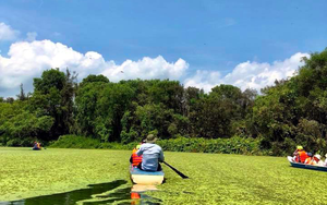 Khu rừng ở Tiền Giang rộng 1.800ha, muốn vào phải chèo xuồng, có 10.000 con động vật hoang dã