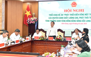 Thực hiện Đề án 1 triệu ha lúa chất lượng cao: Phó Thủ tướng Trần Lưu Quang nhấn mạnh nguyên tắc 10 chữ