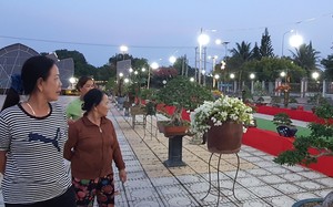 Loại cây cảnh bonsai, chậu hoa giấy mini đang bán hút khách ở Cam Lâm, tỉnh Khánh Hòa