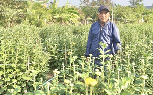 Một nông dân Đà Nẵng chỉ đi mượn đất trồng thứ gì mà làm giàu?