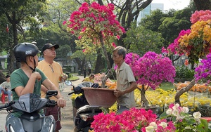 Nhà vườn, thương lái xả hàng bán giá tượng trưng trưa 30 Tết, khách TP.HCM chở cả xe hoa về nhà