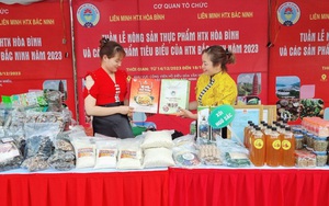 Nữ Giám đốc dân tộc Tày ở Hòa Bình làm thương hiệu thịt lợn bản địa Tân Minh