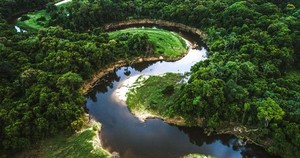 Thủ tướng Chính phủ phê duyệt Đề án phát triển giá trị của hệ sinh thái rừng: Mở rộng nguồn thu từ 