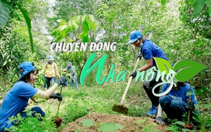 Chuyển động Nhà nông 1/3: Người trồng rừng sẽ có thu nhập gấp 1,5 lần vào năm 2030 