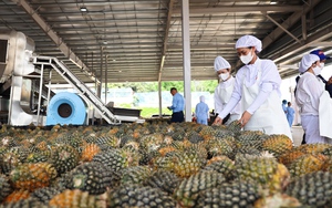 Sơn La: Phát triển nông nghiệp công nghệ cao, hội nhập quốc tế