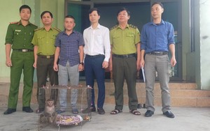 Sang Lào, thấy con động vật hoang dã bị thương, một người dân Hà Tĩnh mua về chăm sóc rồi nộp cho kiểm lâm