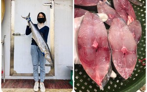 Một loài cá bình dân chứa nhiều omega-3 hơn cá hồi, người Nhật cực thích, có sẵn ở Việt Nam