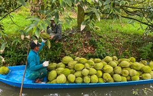 Bền bỉ làm nông thôn mới, một xã anh hùng ở Quảng Nam có những con đường đẹp như phố - Ảnh 9.