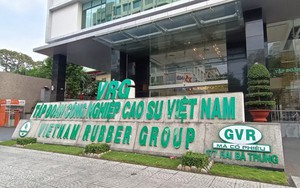 Cao su Việt Nam (GVR): Ông Trần Ngọc Thuận xin từ nhiệm, ước lãi hơn 1.100 tỷ đồng trước thuế sau 5 tháng- Ảnh 4.